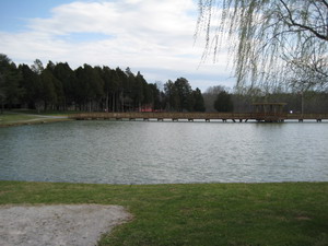 Norton Pond & the Gazebo